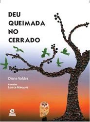Deu queimada no cerrado